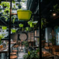 Ein Café mit mehreren Tischen, an denen Menschen mit Laptops arbeiten. Die Wände sind mit Pflanzen dekoriert.